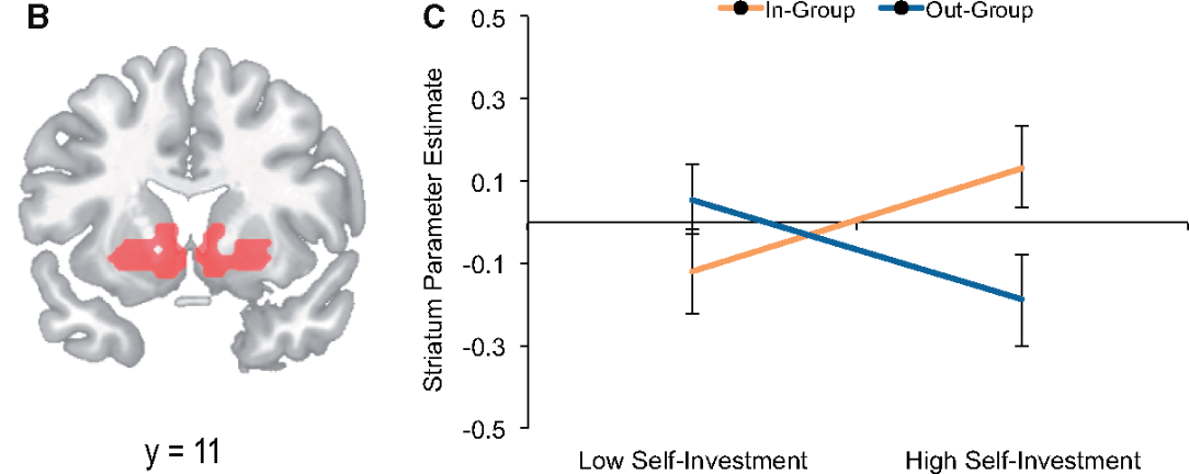 In-group investment linked to ventral striatum activation